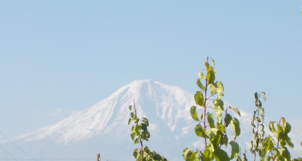Mt-Ararat.png